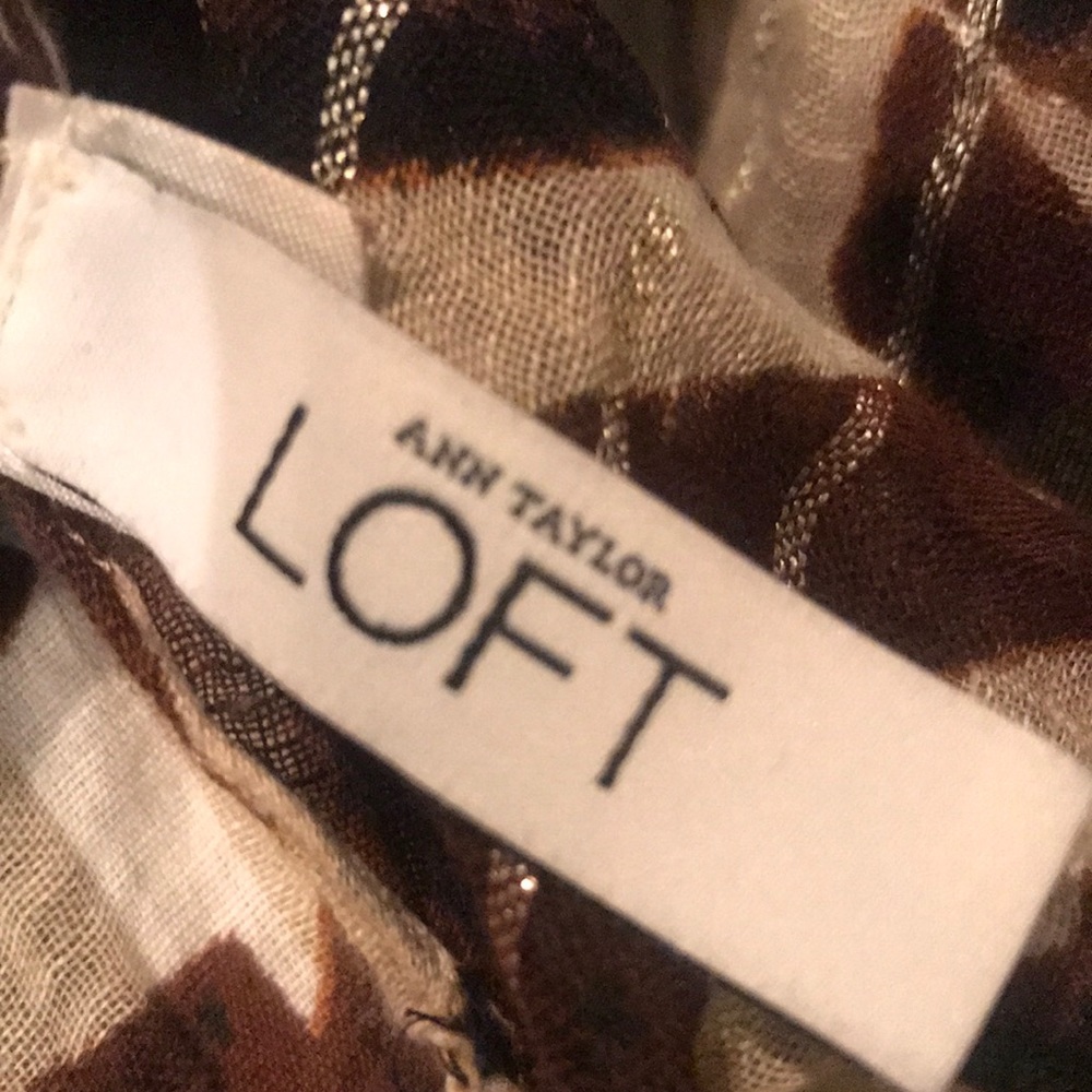Ann Taylor LOFT Scarf